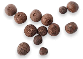 BioPerine® black pepper ingredient illustration