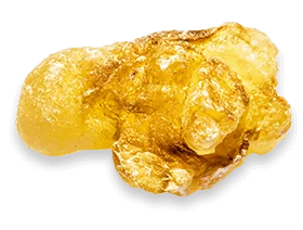 Boswellia serrata ingredient illustration