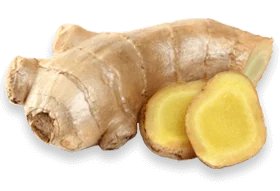Ginger root ingredient illustration